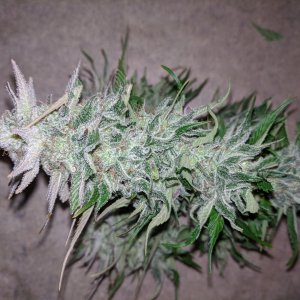 Wedding Cake flower chopped