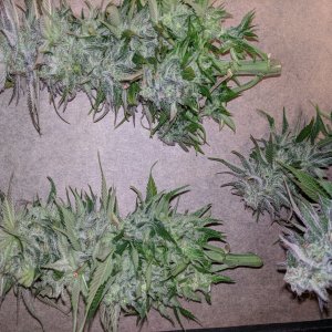 Wedding Cake chopped