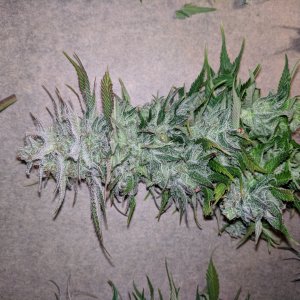 Wedding Cake chopped