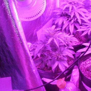 MVC-092S - Copy (2).JPG