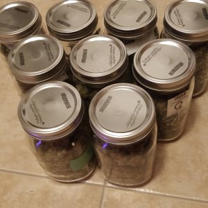 Da stash 2.jpg