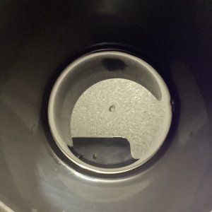 Germinated 2 more Grape Octane Auto