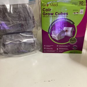 Seedlings first home