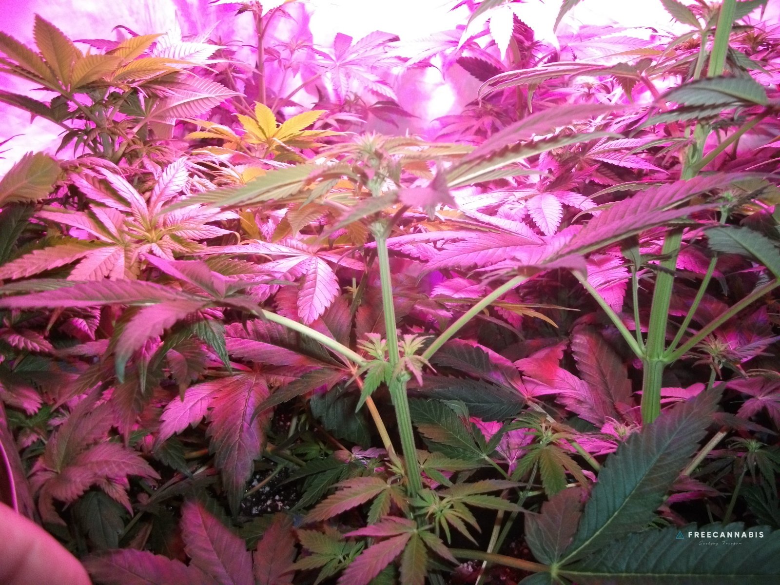 DSCF2327