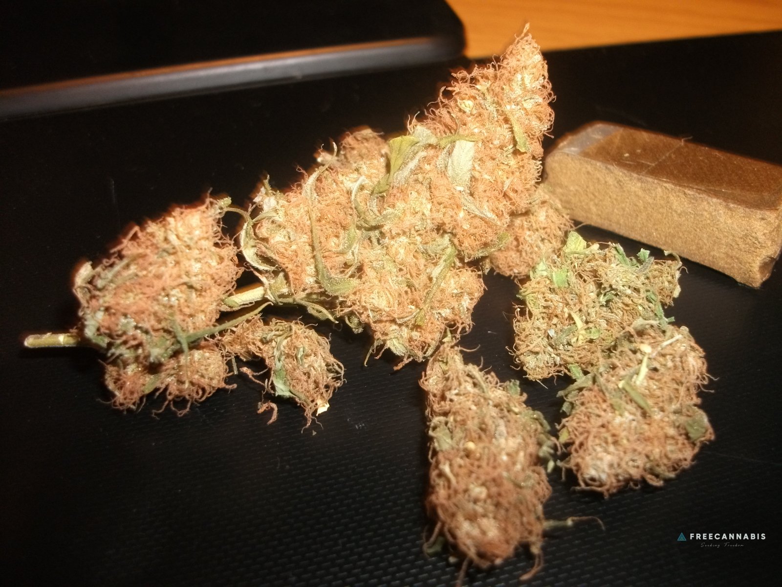 DSCF2433