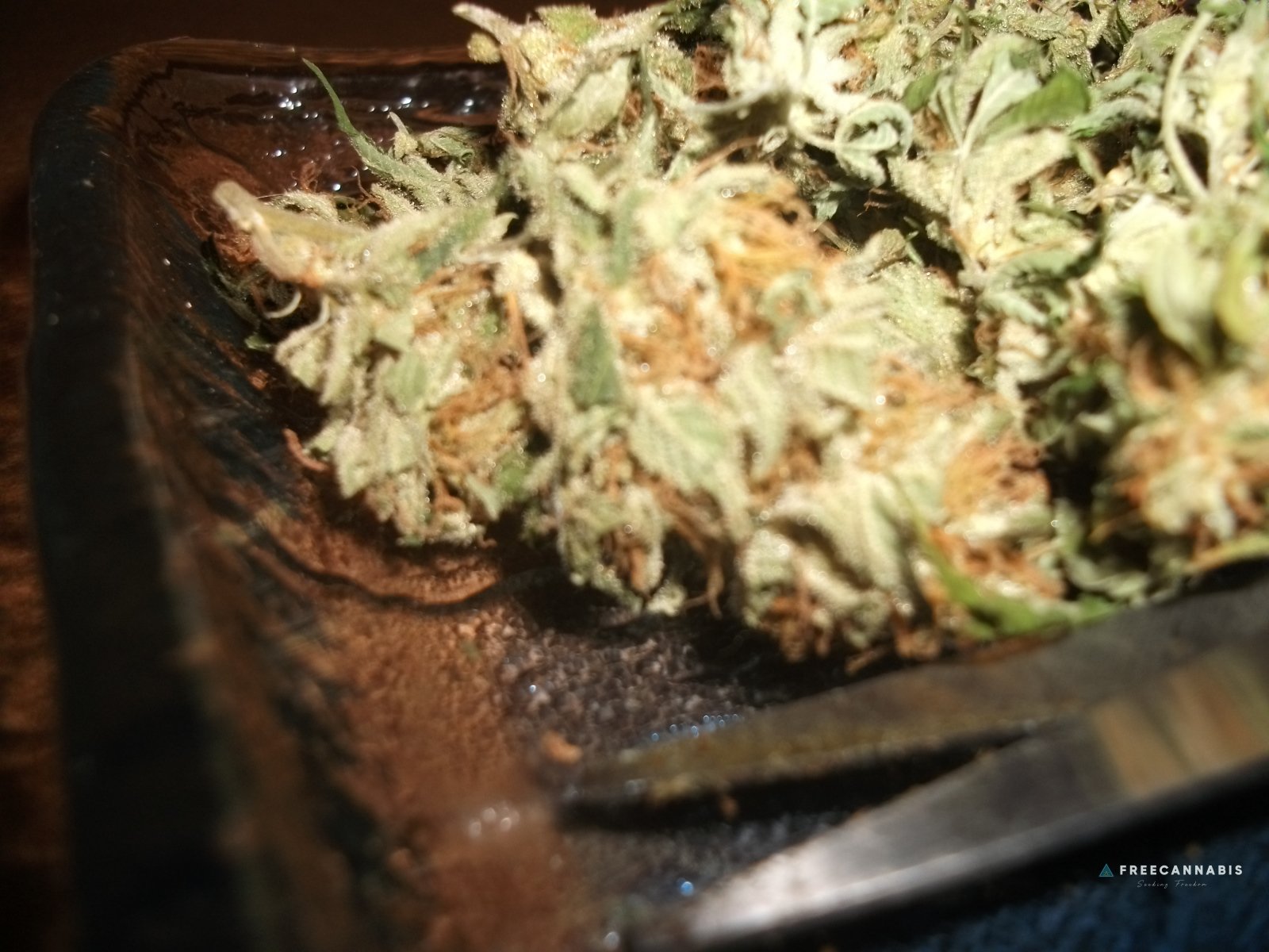sunday smoke - cookies