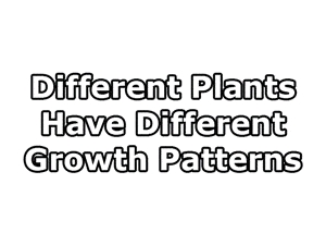 growth-patterns.gif