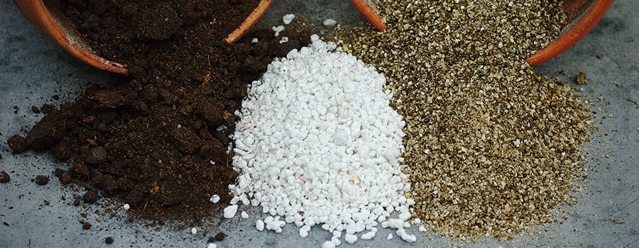Types-Of-Soil-With-Perlite-Cannabis.jpg