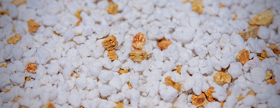 Perlite-Cannabis-Growing.jpg
